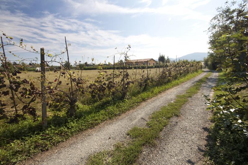 L'Ortobio Villa Sarzana Eksteriør billede